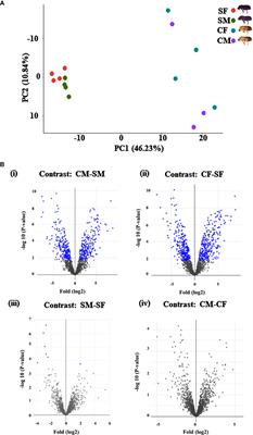 Comparative gut proteomics study revealing adaptive physiology of Eurasian spruce bark beetle, Ips typographus (Coleoptera: Scolytinae)
